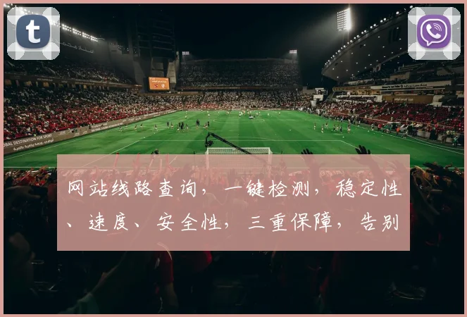 网站线路查询，一键检测，稳定性、速度、安全性，三重保障，告别卡顿