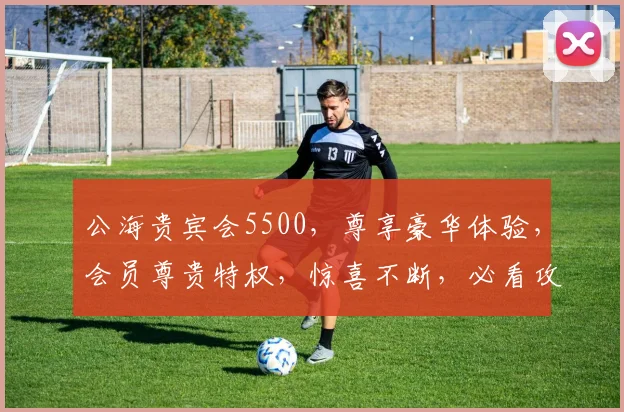 公海贵宾会5500，尊享豪华体验，会员尊贵特权，惊喜不断，必看攻略，一网打尽